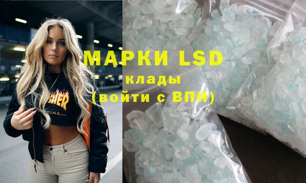 стаф Баксан