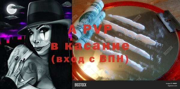 стаф Баксан
