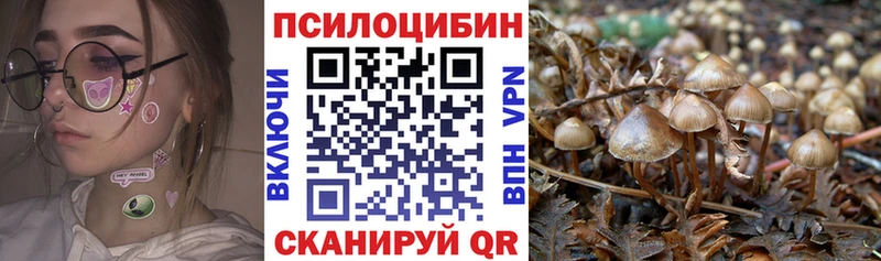 где купить ссылка на мегу ссылка Галлюциногенные грибы GOLDEN TEACHER Гаврилов Посад